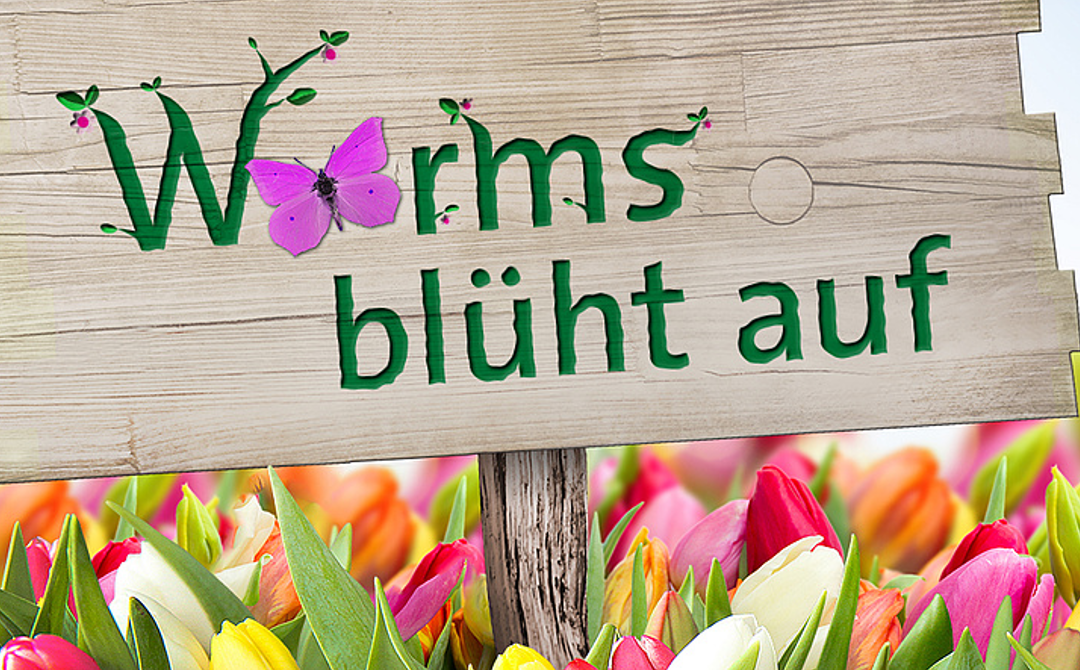 Worms blüht auf